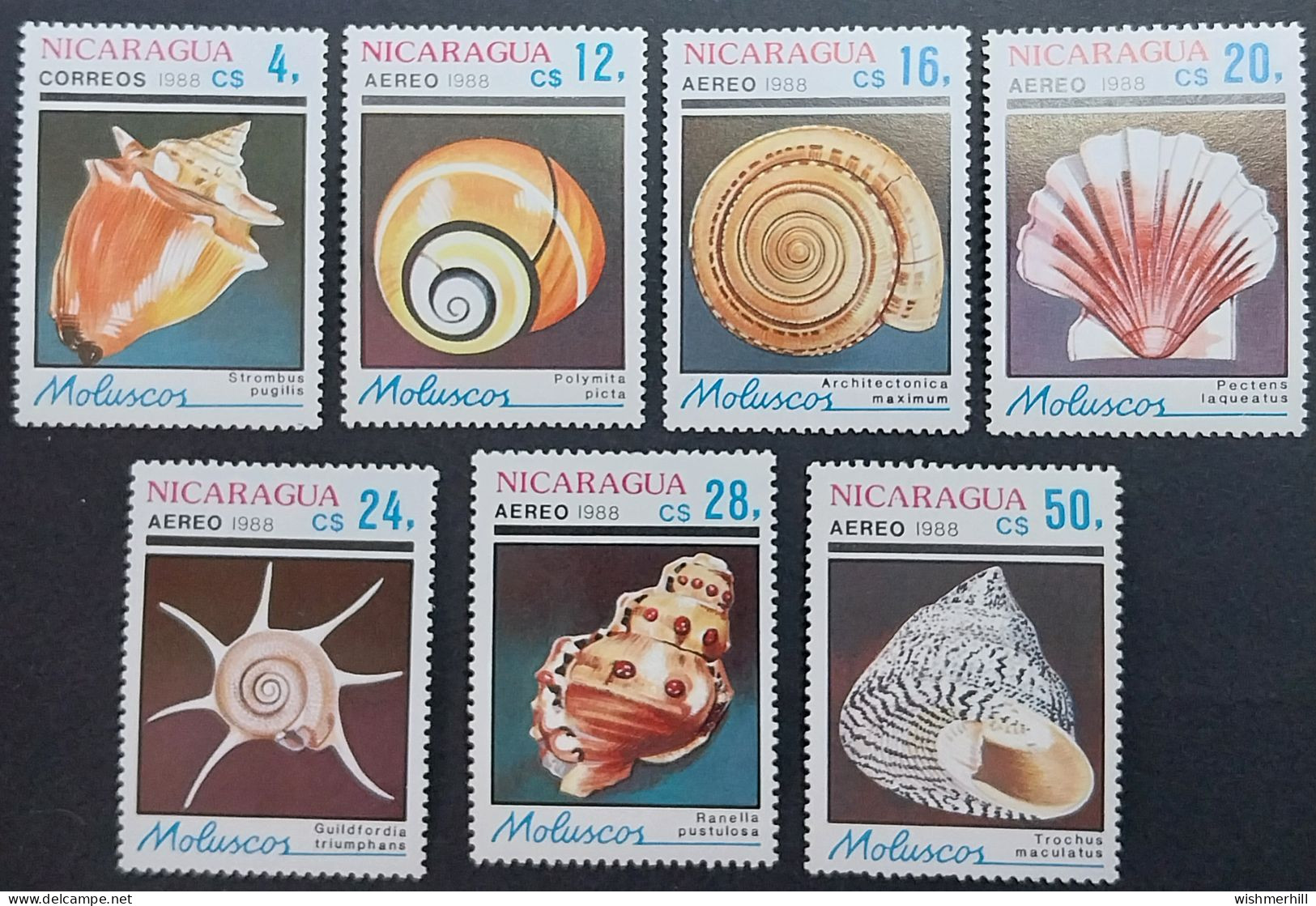 Coquillages Shells // Série Complète Neuve ** MNH ; Nicaragua YT 1509 + PA 1240/1245 (1988) Cote 8 € - Conchas