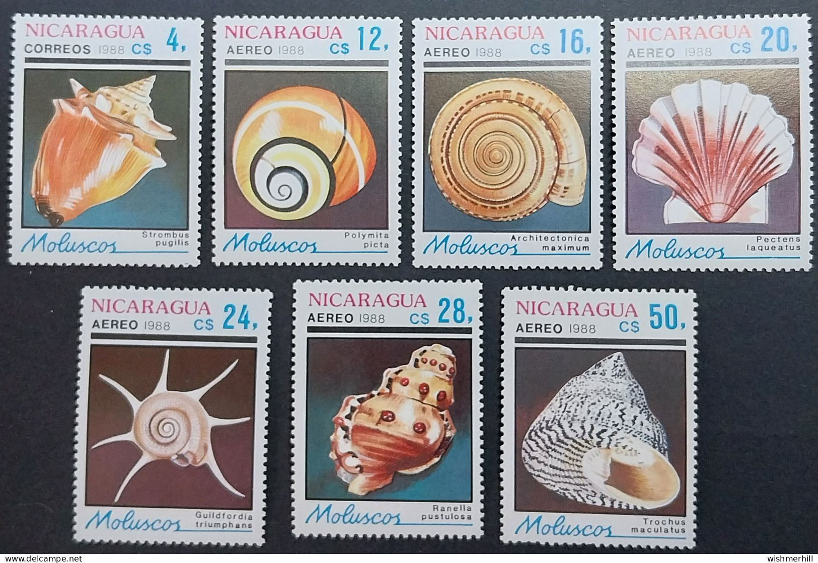 Coquillages Shells // Série Complète Neuve ** MNH ; Nicaragua YT 1509 + PA 1240/1245 (1988) Cote 8 € - Coquillages