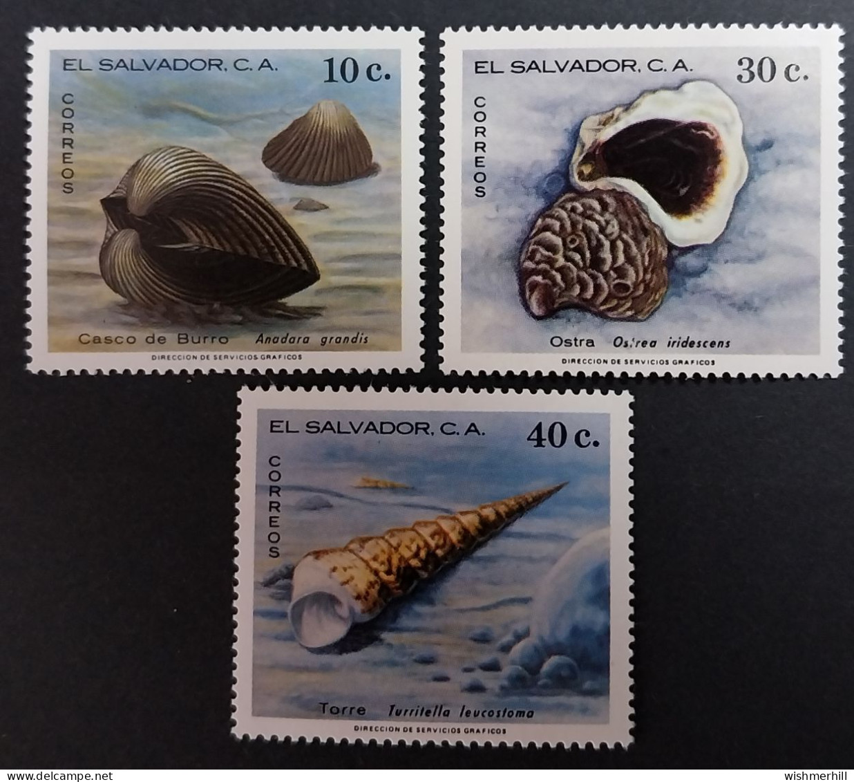 Coquillages Shells // Série Complète Neuve ** MNH ; Salvador YT 872/874  (1980) Cote 12.50 € - Conchiglie