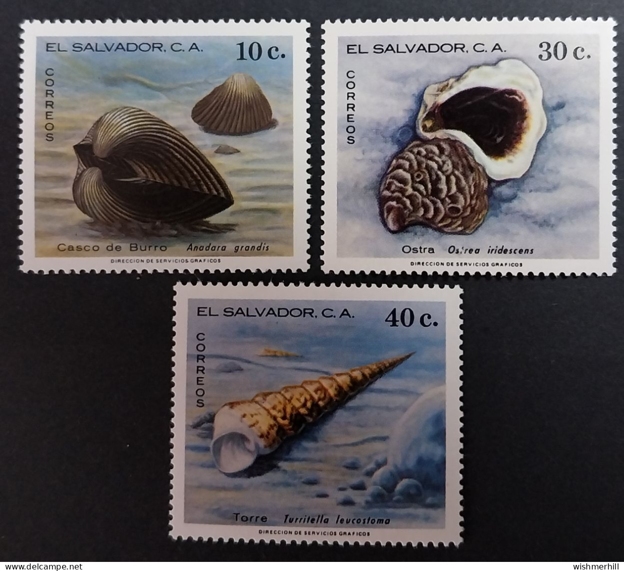 Coquillages Shells // Série Complète Neuve ** MNH ; Salvador YT 872/874  (1980) Cote 12.50 € - Coneshells