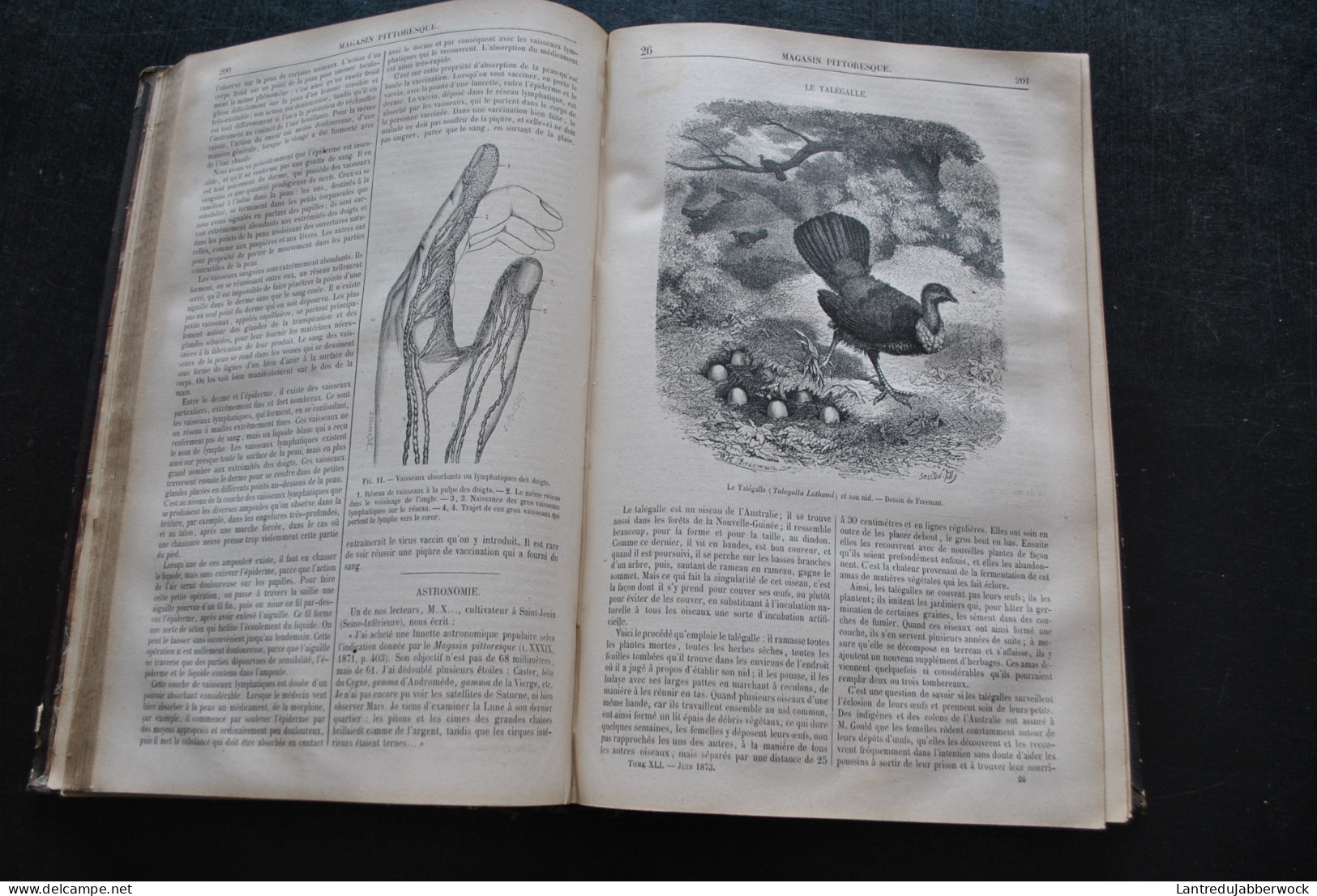 Reliure Annuelle Revue Le Magasin Pittoresque 41è Et 42è Années 1873 1874 CHARTON Gravures Actualité Arts Voyages Japon  - Magazines - Before 1900