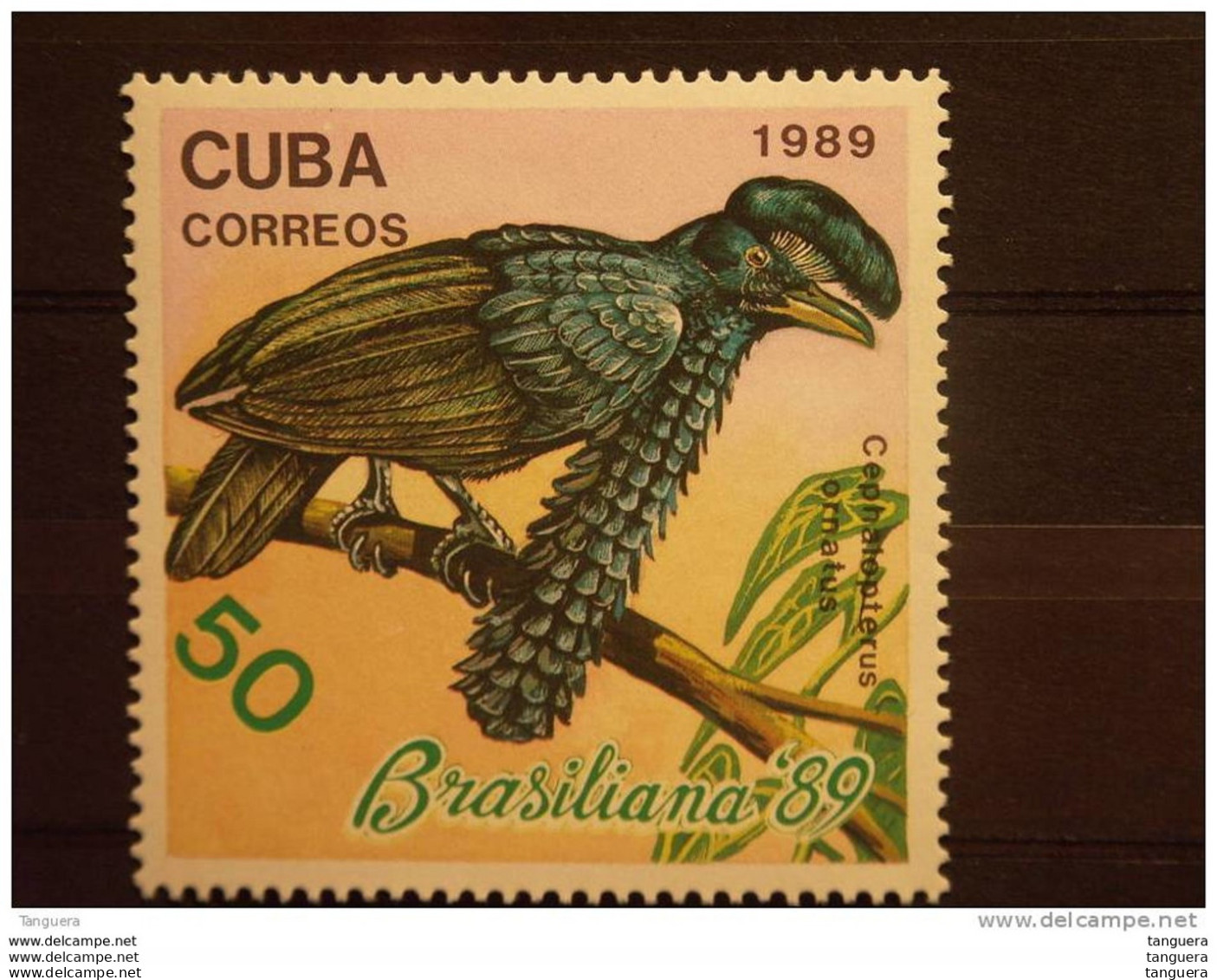 Cuba 1989 Brasiliana Bird Oiseau Yv 2951 ** MNH - Neufs