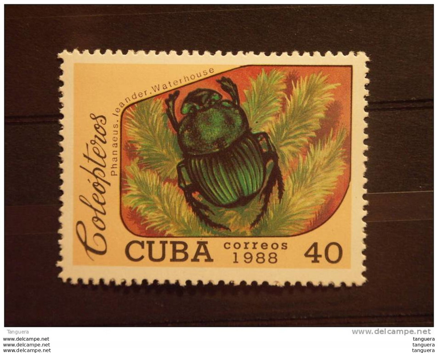 Cuba 1988 Coleopteros Kever Yv 2863 ** MNH - Unused Stamps