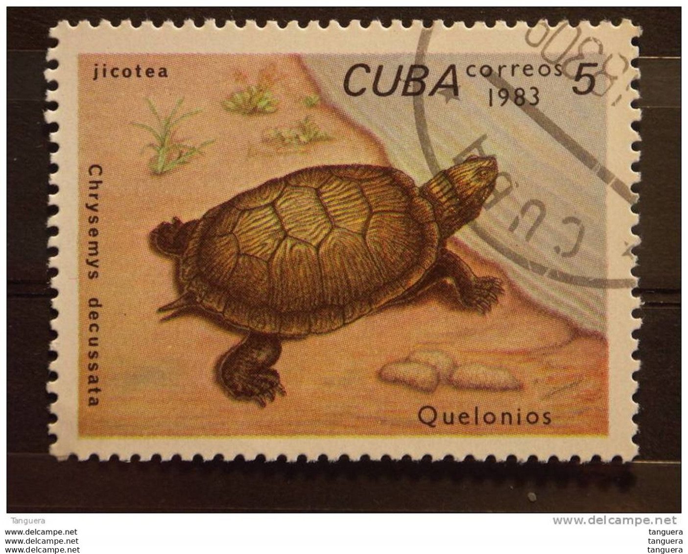 Cuba 1983 Tortue Schildpad Yv 2464 O - Usati