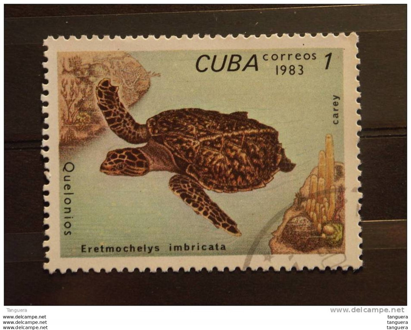 Cuba 1983 Tortue Yv 2462 O - Usati