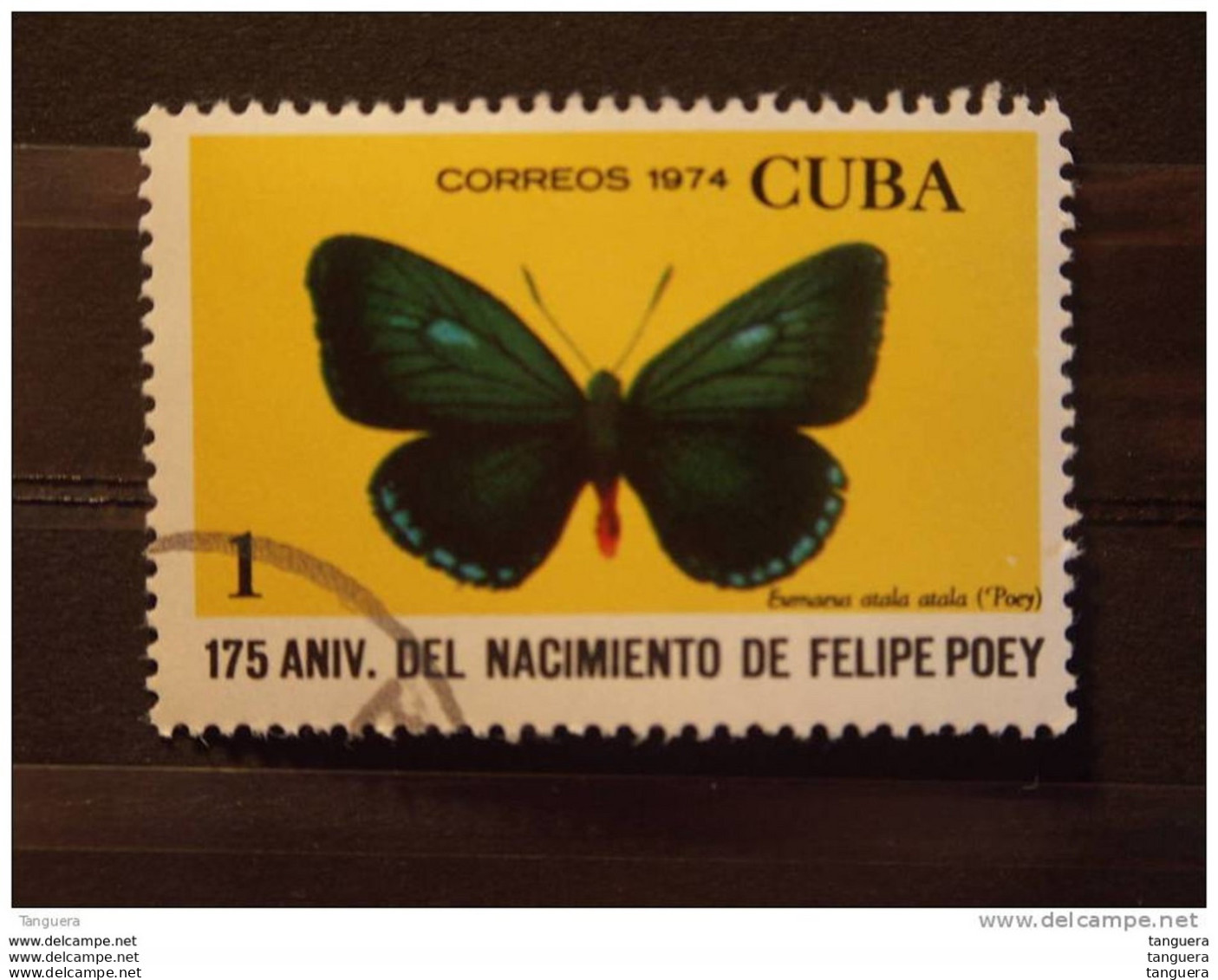Cuba 1974 Vlinder Papillion Yv 1779 O - Oblitérés