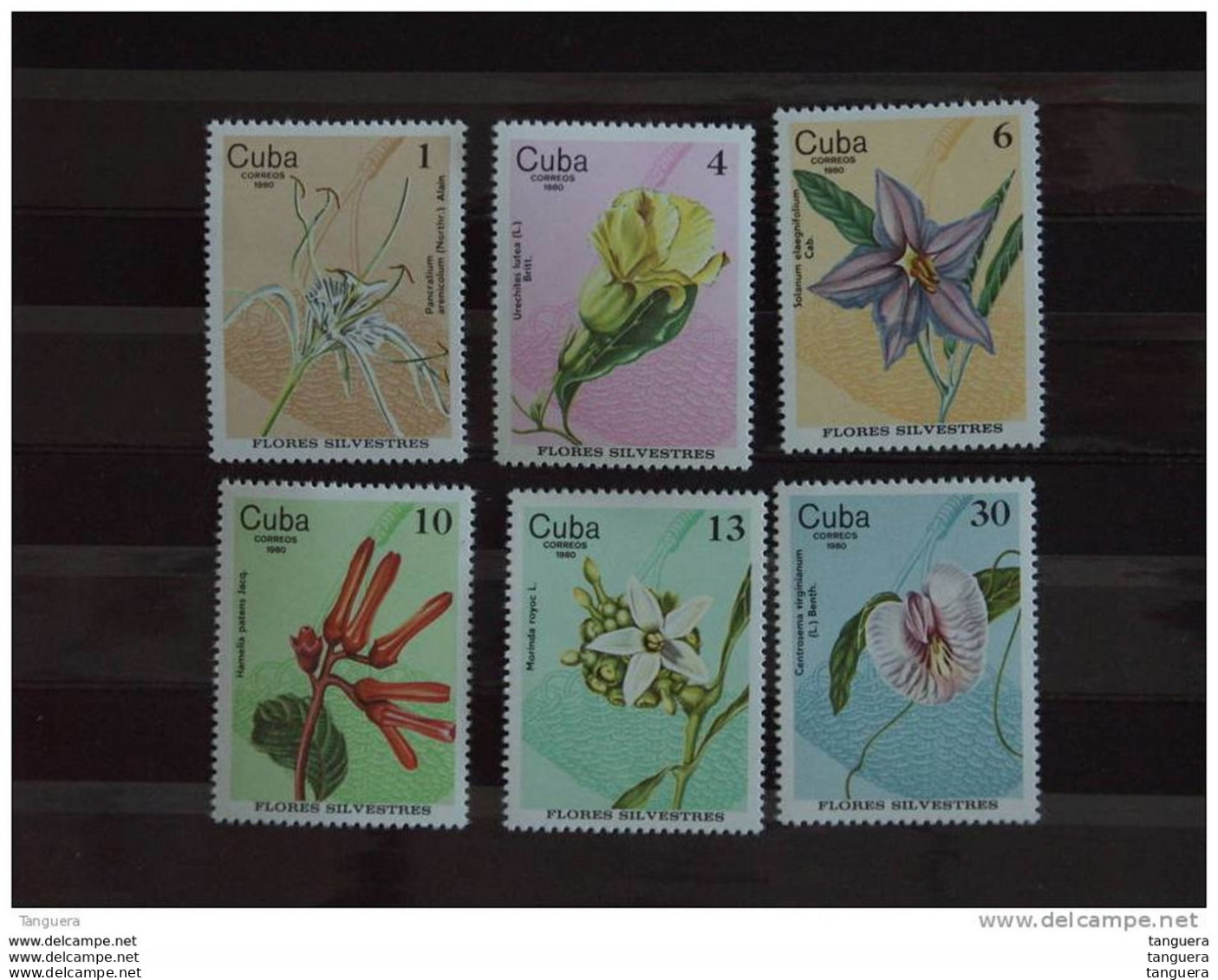 Cuba 1980 Flore Fleurs Sylvestres Yv 2228-2233 MNH ** - Neufs