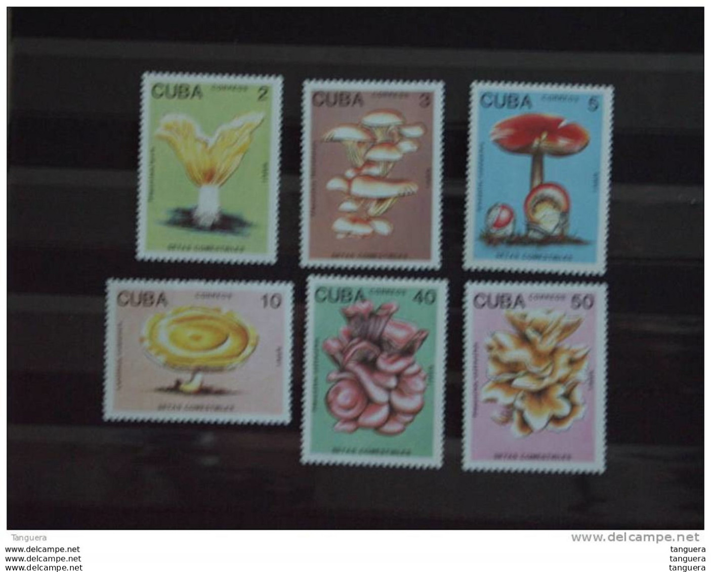 Cuba 1989 Flore Champignons Comestibles Paddestoelen Yv 2907-2912 MNH** - Nuovi