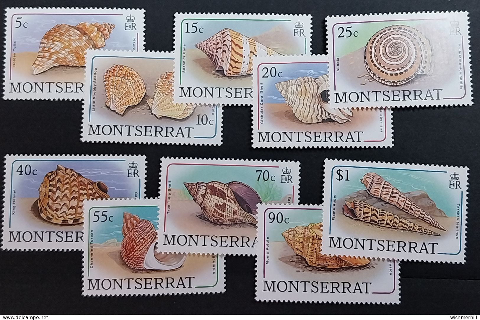 Coquillages Shells // Série Complète Neuve ** MNH ; Montserrat YT 676/291 (1988) Cote 46 € - Montserrat