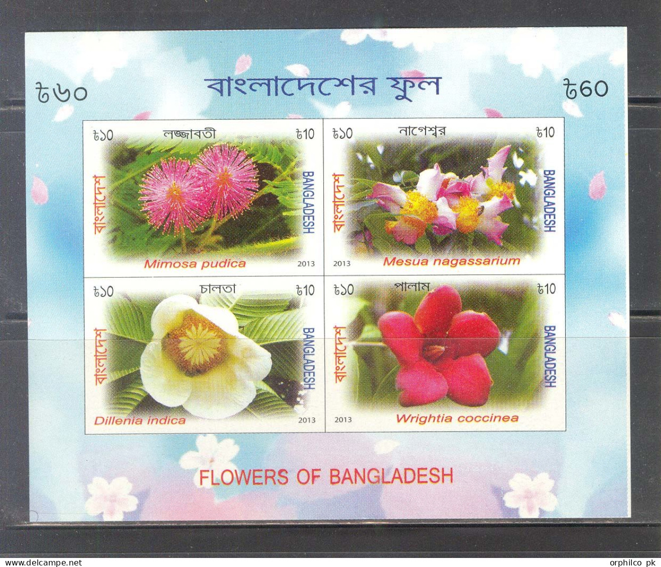 Bangladesh 2013 MNH Souviner SS Imperf Flower Flora Sensitive Plant Ceylon Ironwood Elephant Apple Scarlet Wrightia - Bangladesch