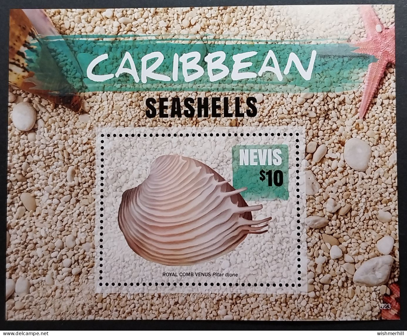 Coquillages Shells // Bloc Neuve ** MNH ; Nevis BF 370 (2016) - St.Kitts And Nevis ( 1983-...)