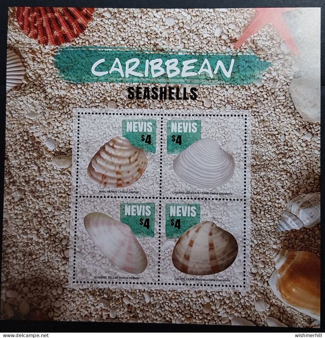 Coquillages Shells // Série Complète Neuve ** MNH ; Nevis (2016) - St.Kitts And Nevis ( 1983-...)