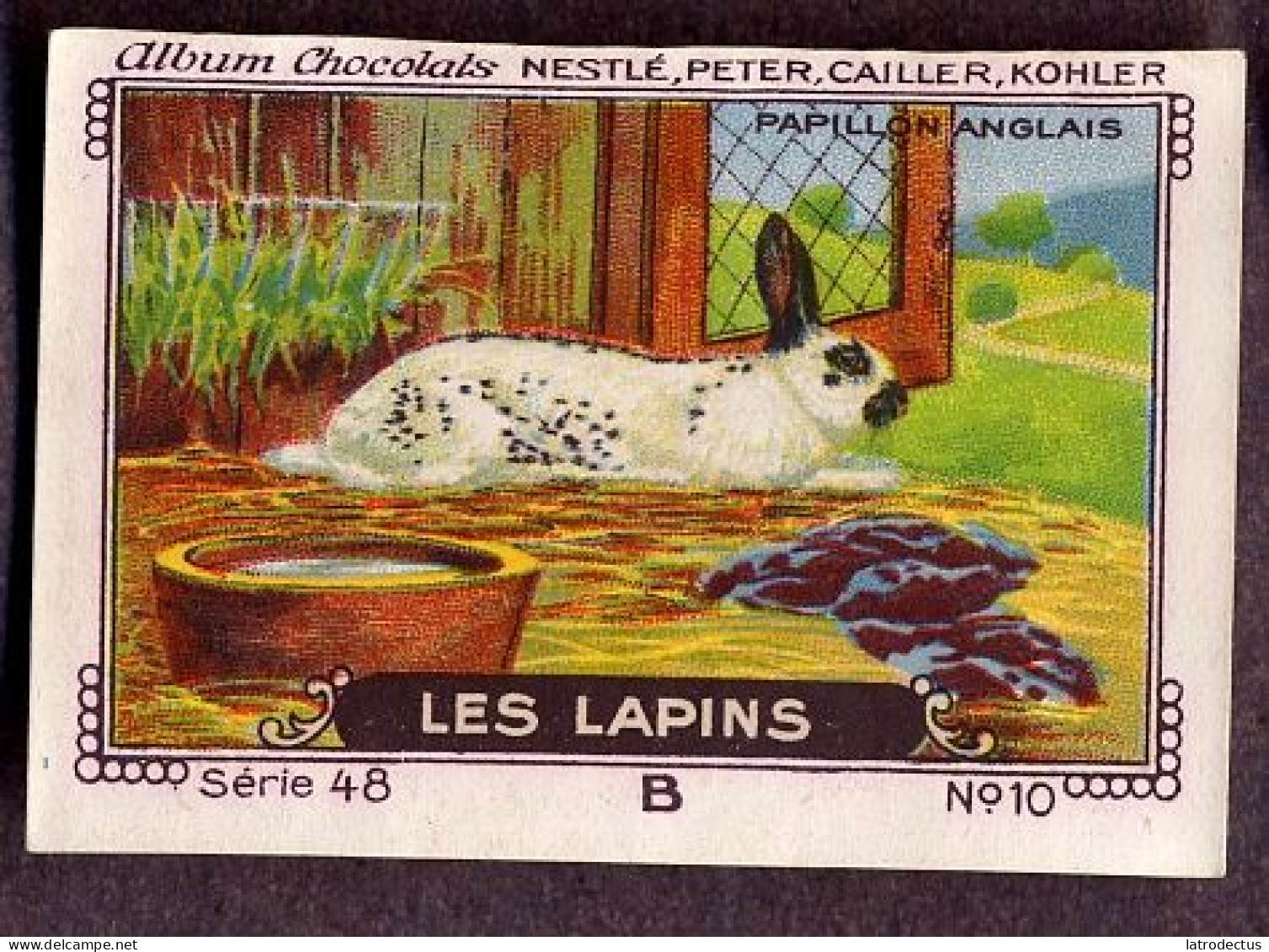 Nestlé - 48B - Les Lapins, Rabbits - 10 - Papillon Anglais, English Spot - Nestlé