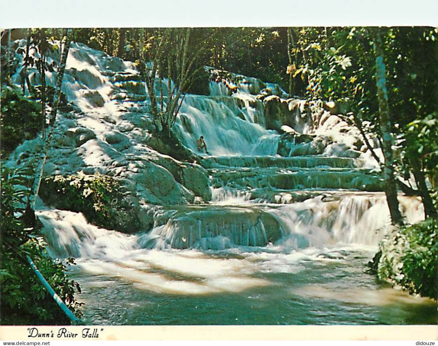 Antilles - Jamaïque - Jamaica - Dunn's River Falls - CPM - Voir Scans Recto-Verso - Jamaica