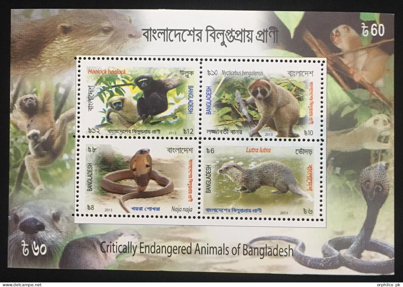 Bangladesh 2013 MN Souviner SS Imperf Endengered Animal Hoolock Gibbon Slow Loris Snake Cobra Naja Eurasian River Otter - Bangladesch