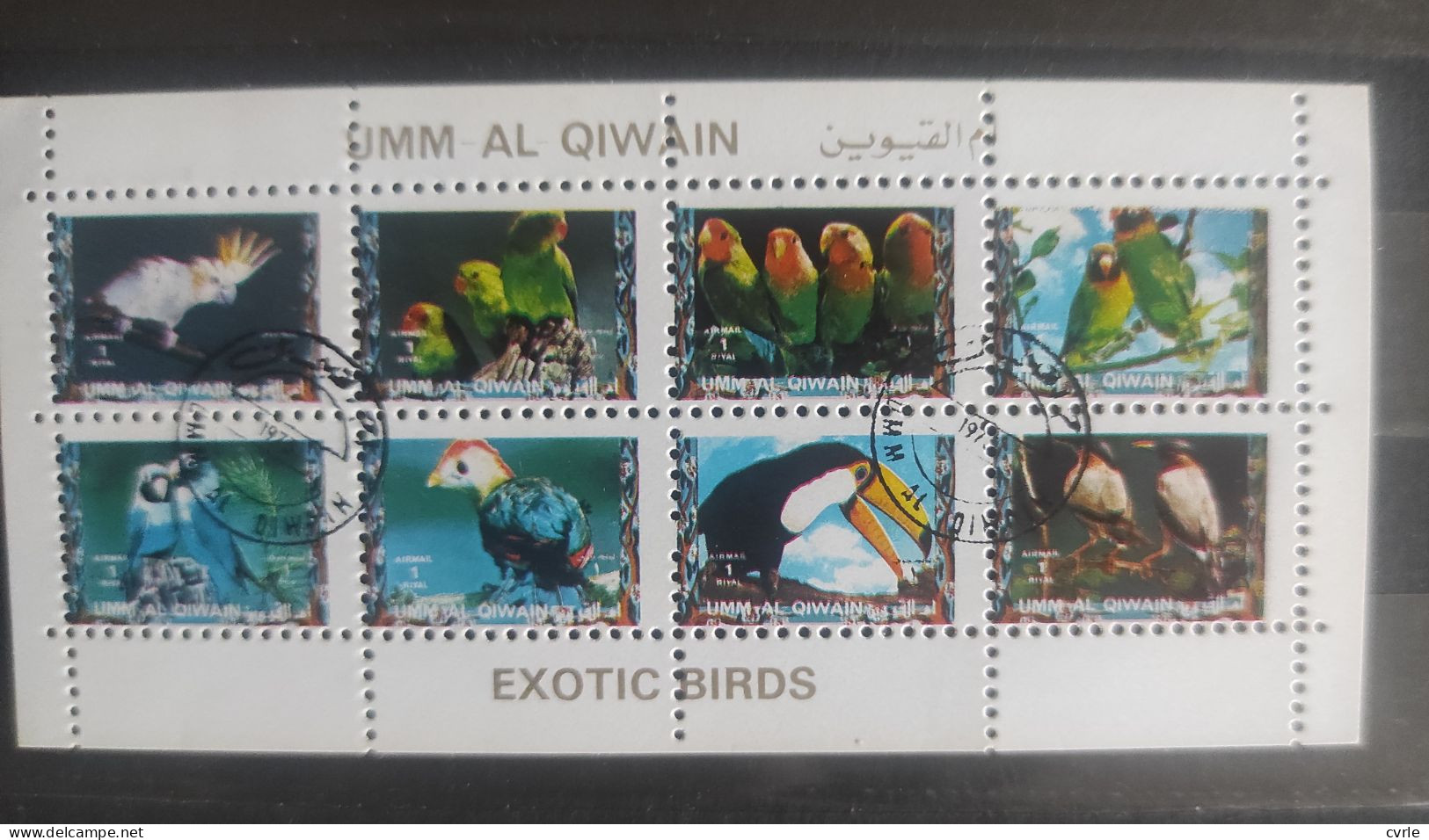 Birds 1972 - Umm Al-Qiwain