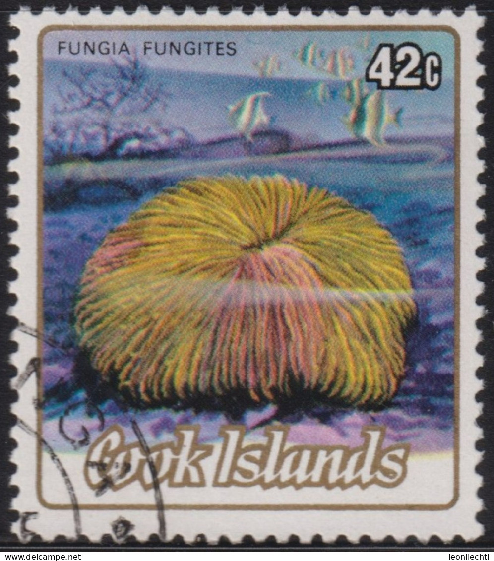 1987 Cookinseln ° Mi:CK 991, Sn:CK 800, Yt:CK 782, Sg:CK 979,Common Mushroom Coral (Fungia Fungites), Corals II - Cook Islands