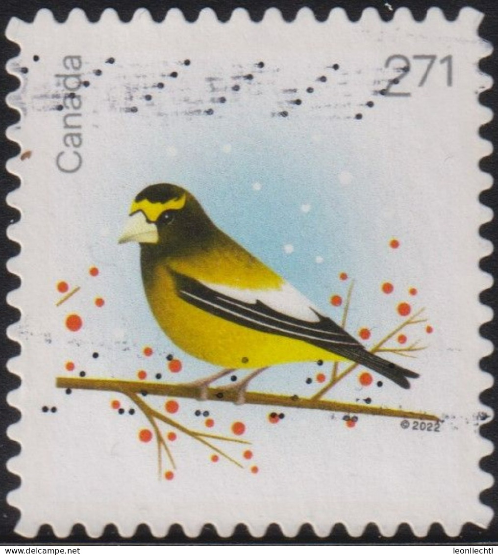 2022 Kanada ° Mi:CA 3976, Yt:CA 3862, Sg:CA 3650, Col:CA 2022.11.01-03, Evening Grosbeak (Coccothraustes Vespertinus) - Oblitérés