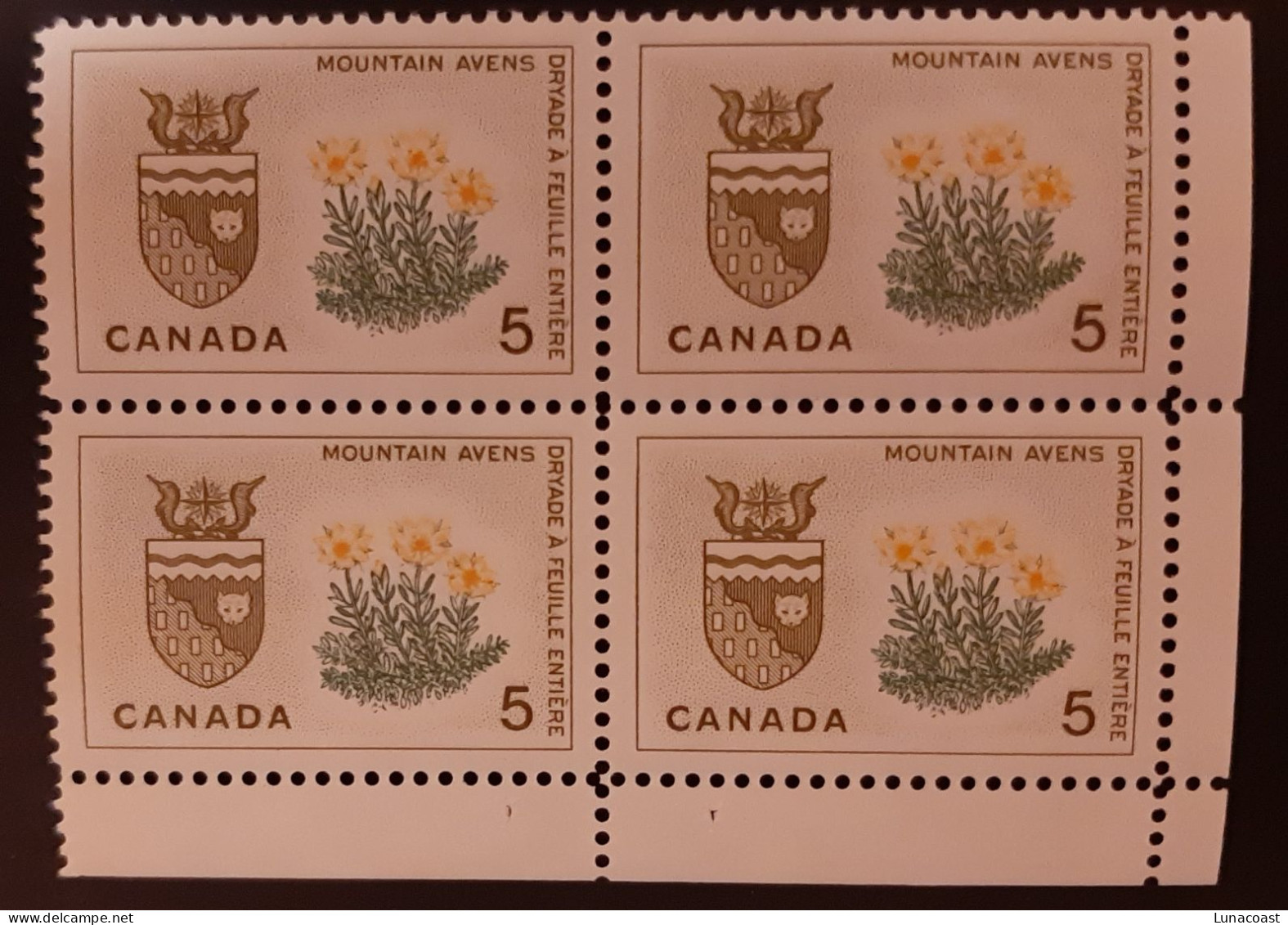 Canada 1964 MNH Sc #429**  4 X 5c Block, Floral Emblems, Northwest Territories - Neufs