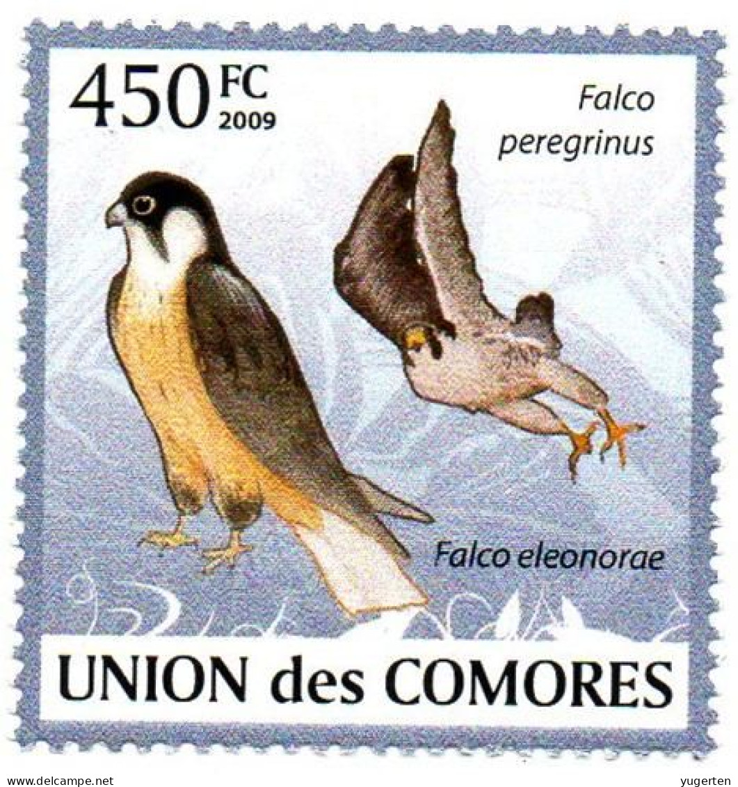 COMORES - 1v - MNH Falco Peregrimus - Eagles Falcons Hawks Vögel Falconery Birds Halcones Falken Falchi Faucons Aigles - Aigles & Rapaces Diurnes