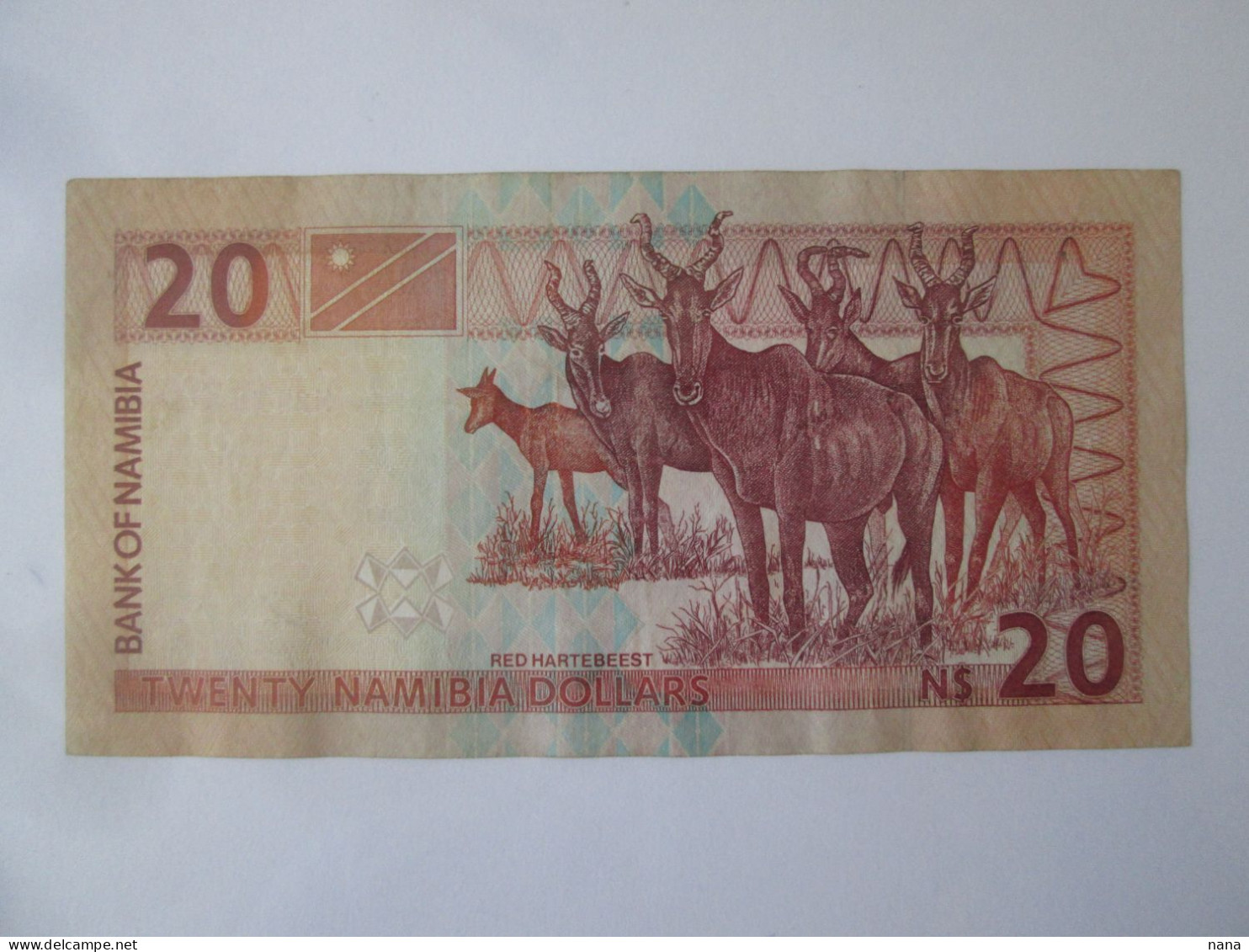 Namibia 20 Dollars 1996 Banknote See Pictures - Namibie