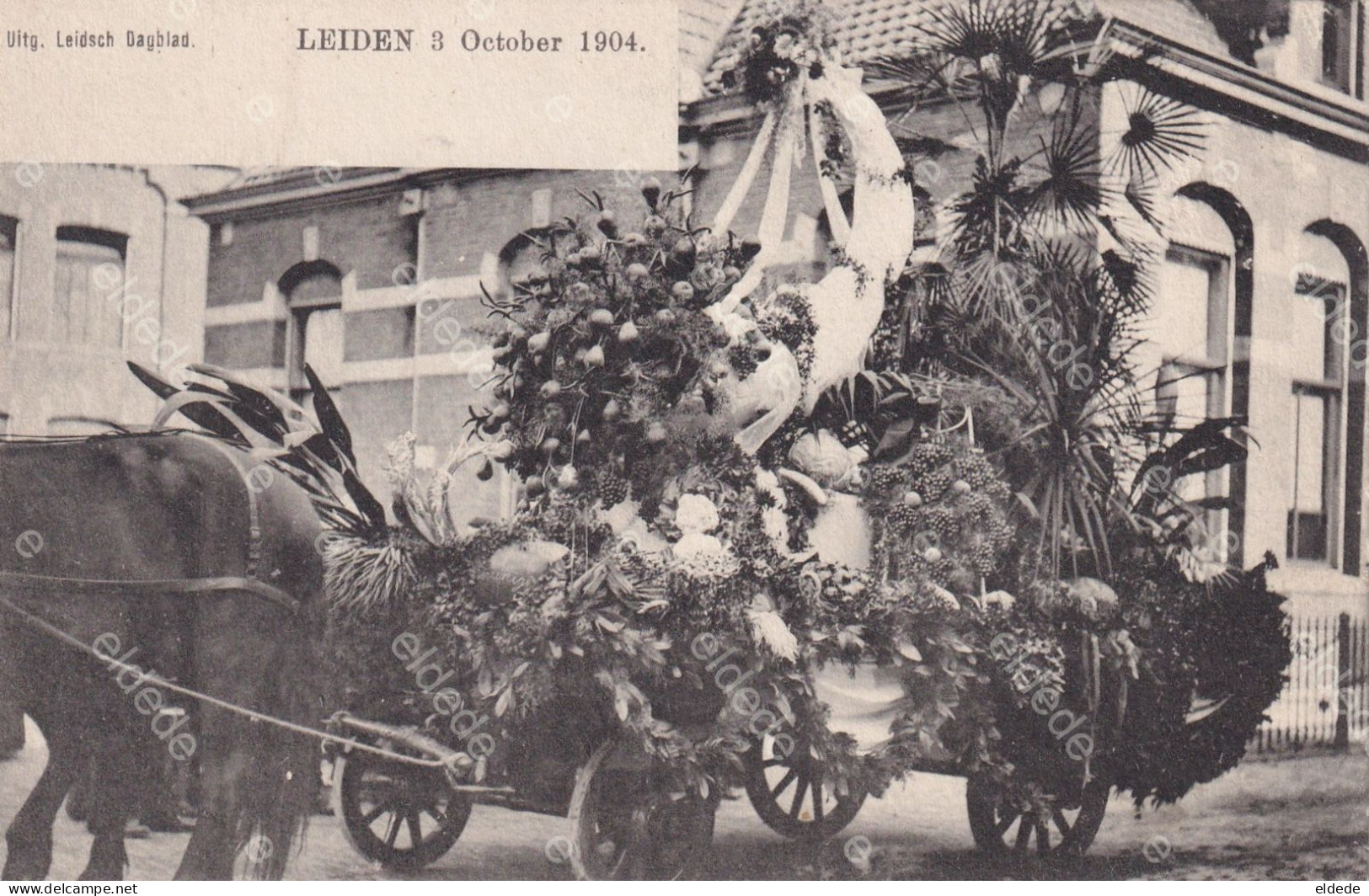 Leiden 3 October 1904 Close Up Horse Cart  Fruit Decoration Apple Pear Grapes Etc - Leiden