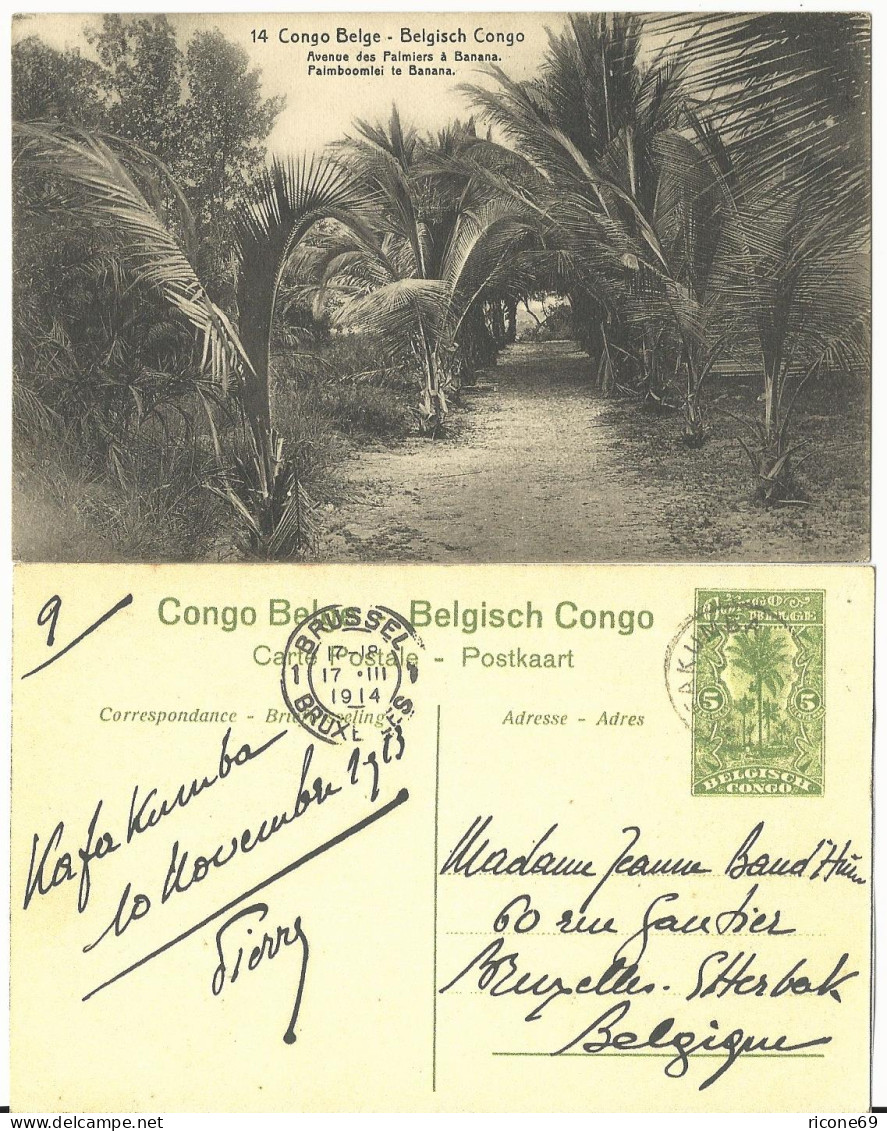 Belgisch Congo, 1914 Gebr. 5 C. Bild Ganzsache M. Palmen - Autres - Afrique