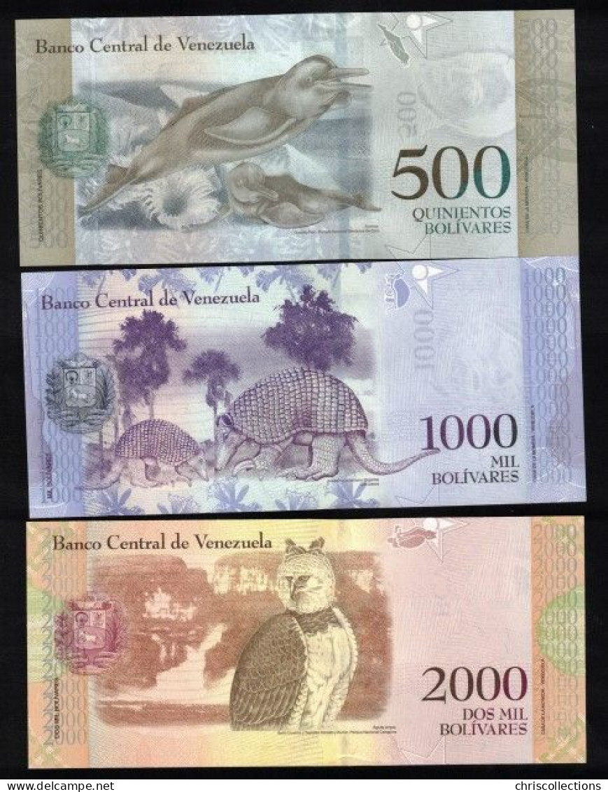 VENEZUELA - Lot De 10 Billets Du Venezuela - NEUF - Venezuela