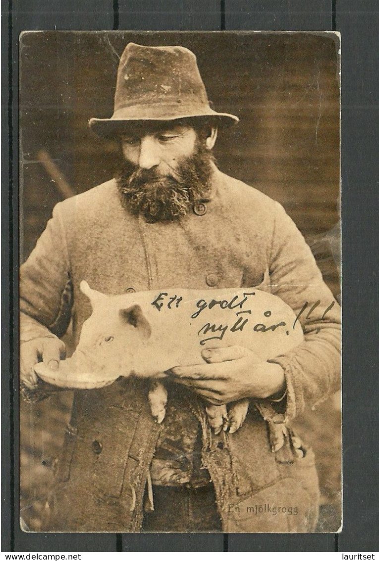 FINLAND O 1912 A Country Man With Hat Holding A Small Pig Drinking Milk Schwein - Europa