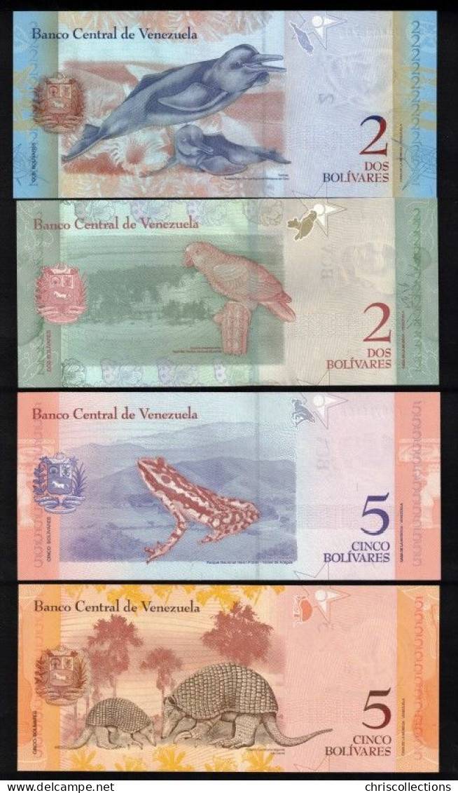 VENEZUELA - Lot De 10 Billets Du Venezuela - NEUF - Venezuela