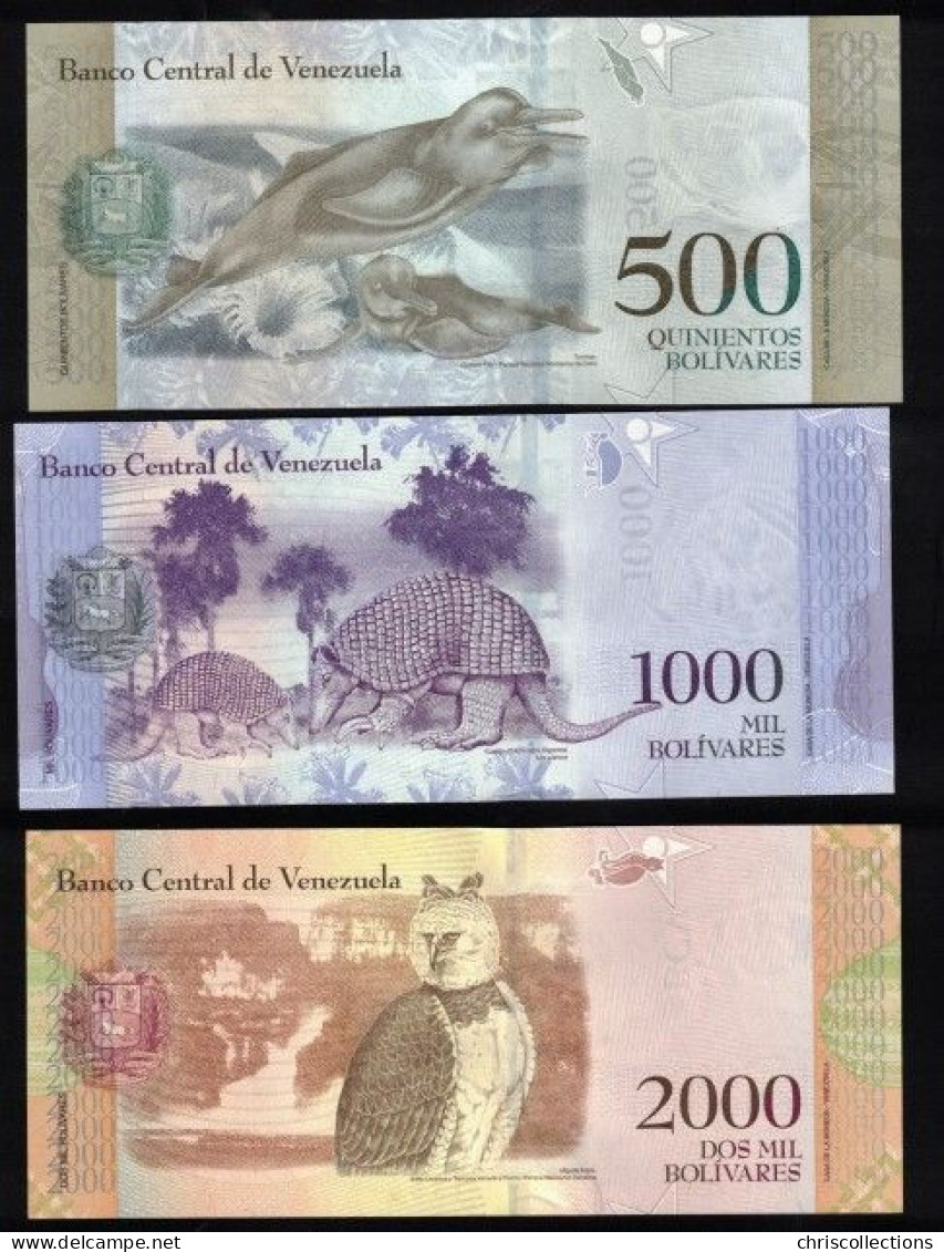 VENEZUELA - Lot De 10 Billets Du Venezuela - NEUF - Venezuela