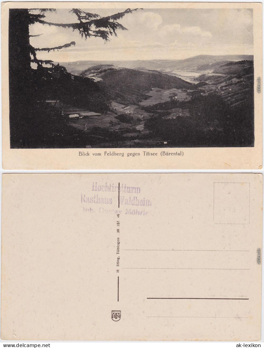 Ansichtskarte Titisee-Neustadt Blick Vom Feldberg Gegen Titisee 1922 - Titisee-Neustadt