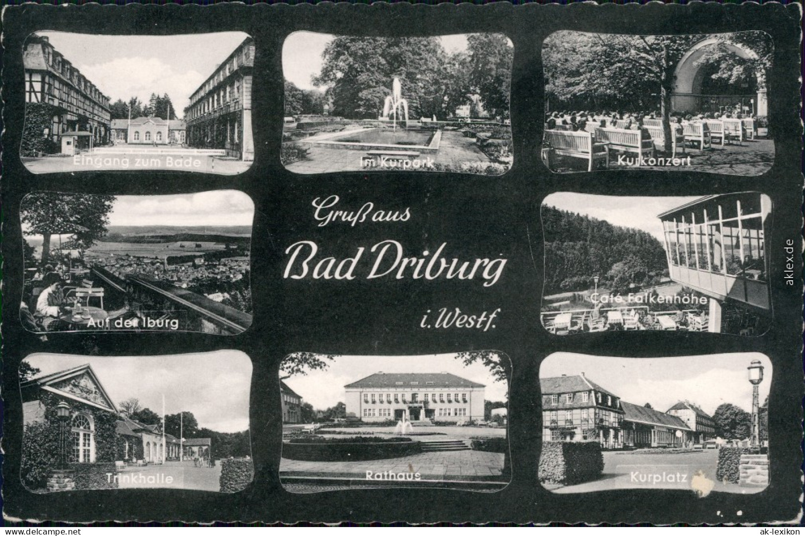 Ansichtskarte Bad Driburg Kurpark, Rathaus, Trinkhalle, Iburg, Café 1950 - Bad Driburg