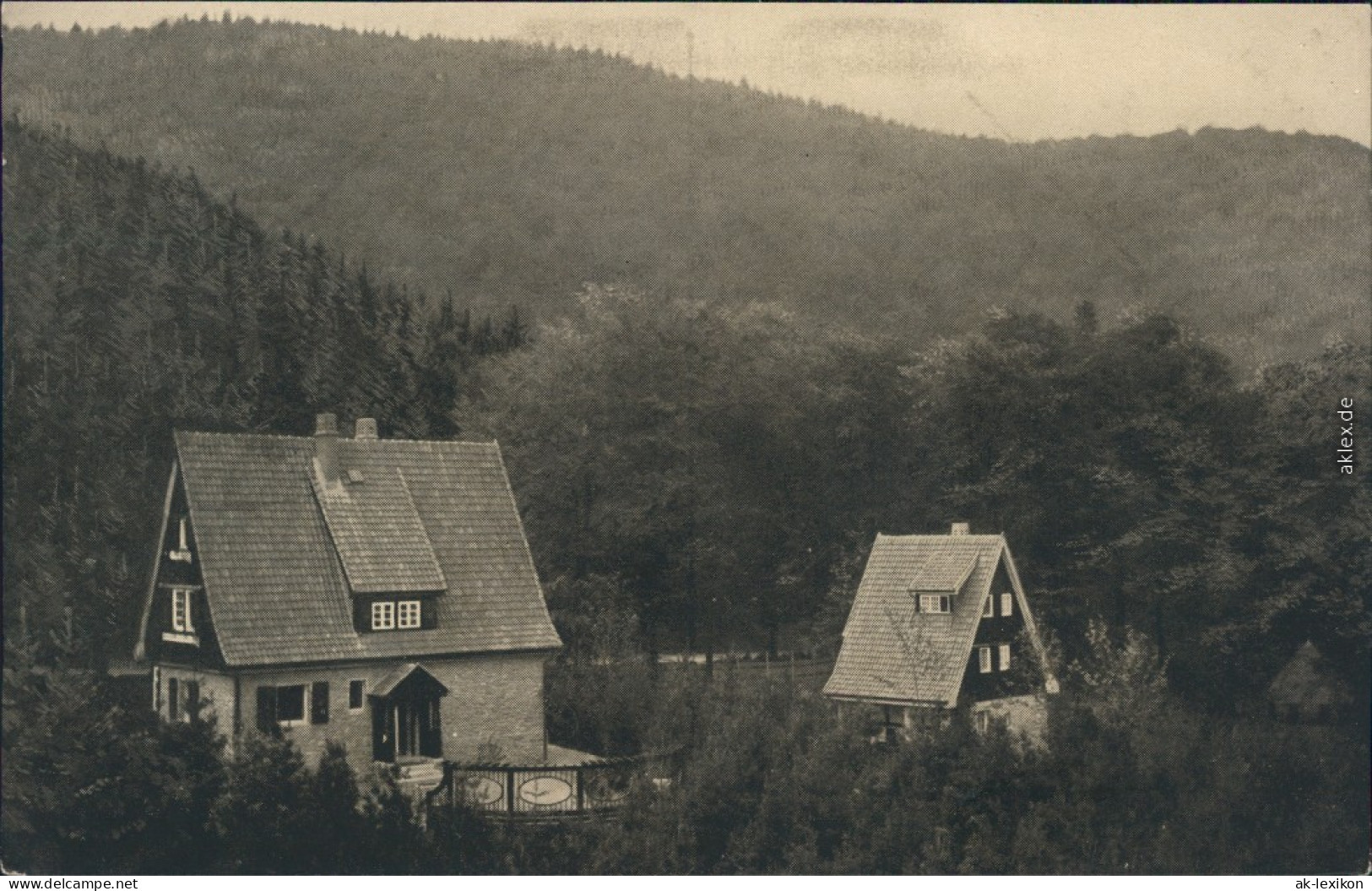 Ansichtskarte Bad Harzburg Waldsiedlung Wolfsklippen 1930 - Bad Harzburg