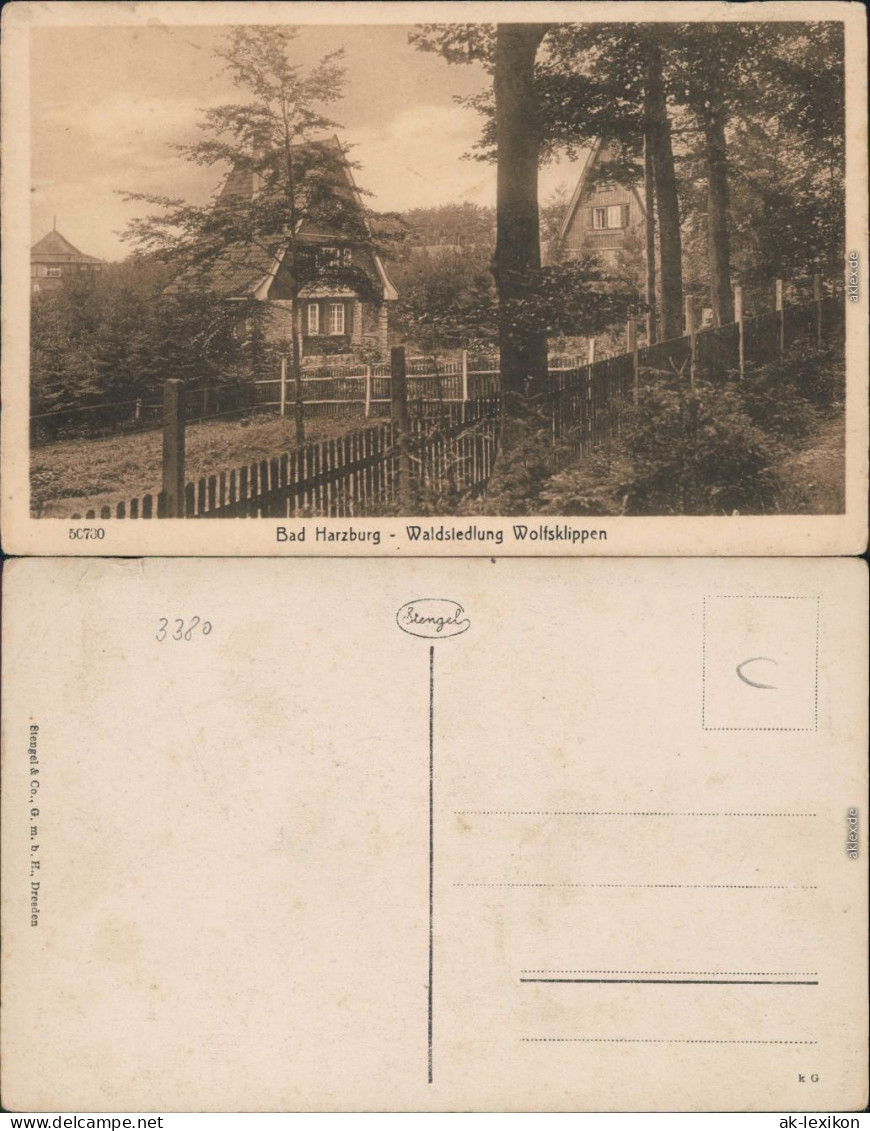 Ansichtskarte Bad Harzburg Waldsiedlung Wolfsklippen 1920 - Bad Harzburg