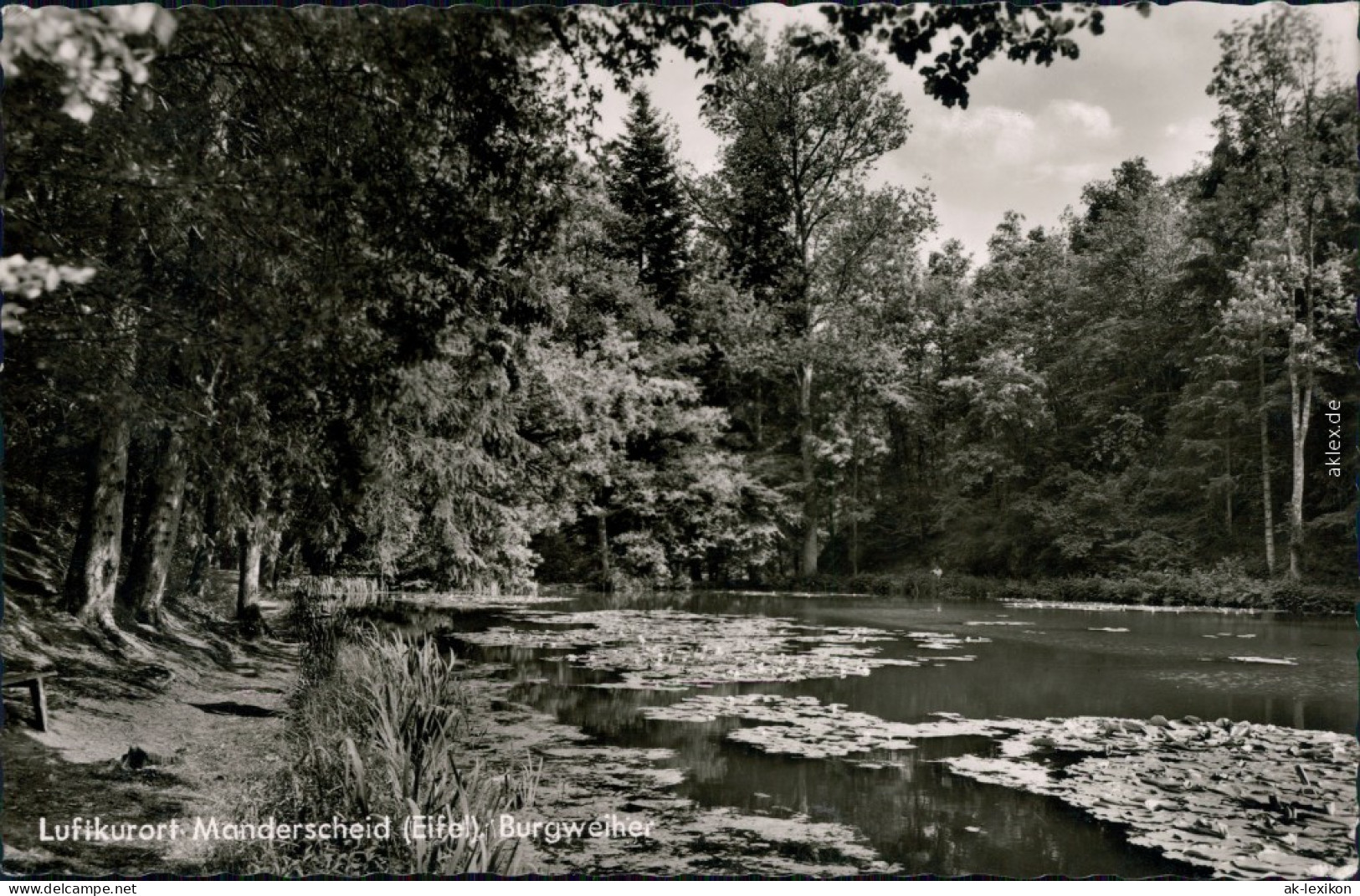 Ansichtskarte Manderscheid Burgweiher 1961 - Manderscheid