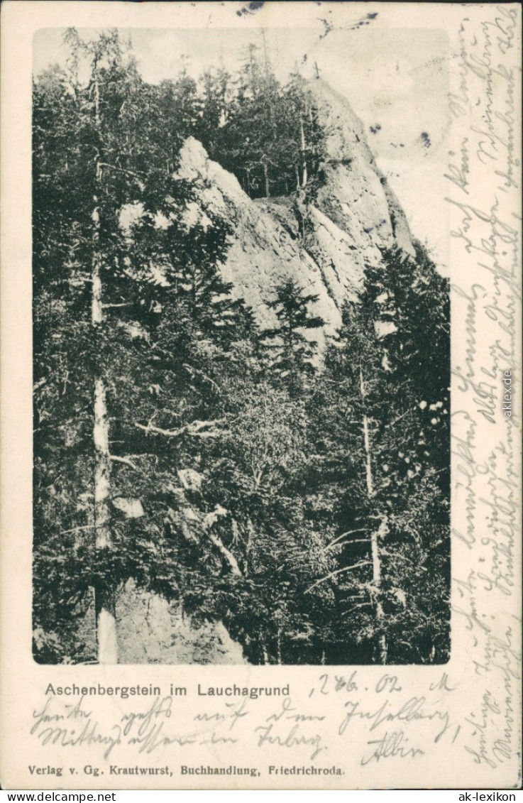 Ansichtskarte Tabarz/Thüringer Wald Aschenbergstein Im Lauchagrund 1902 - Tabarz