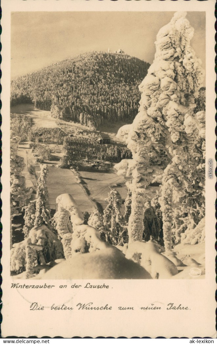 Waltersdorf-Großschönau (Sachsen)  : Winterzauber An Der Lausche 1934 - Grossschoenau (Sachsen)