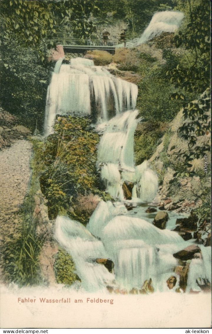 Ansichtskarte Titisee-Neustadt Fahler Wasserfall Am Feldberg 1905  - Titisee-Neustadt