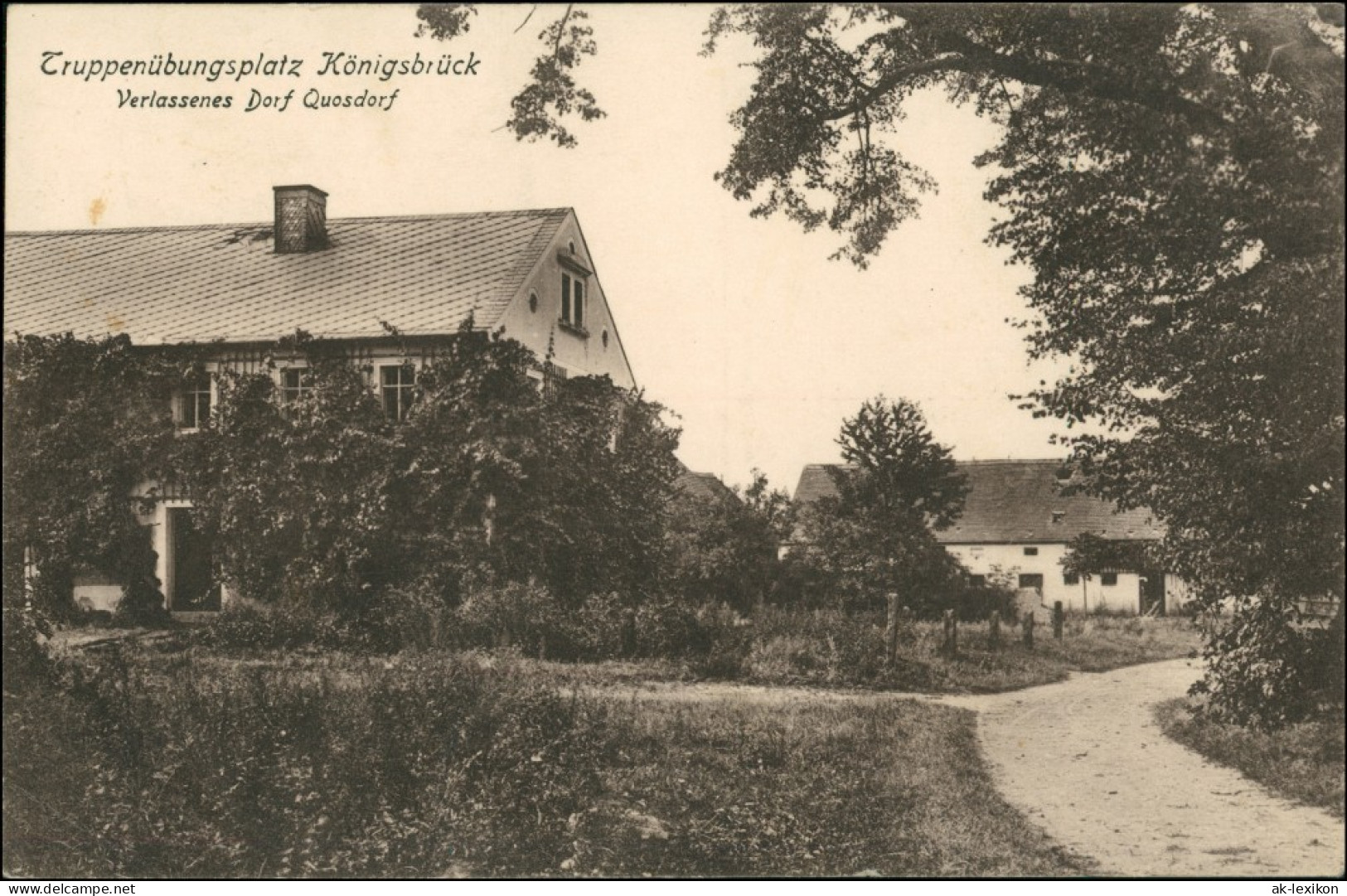 Quosdorf (später Truppenübungsplatz)-Königsbrück Kinspork Straßenpartie 1916 - Koenigsbrueck