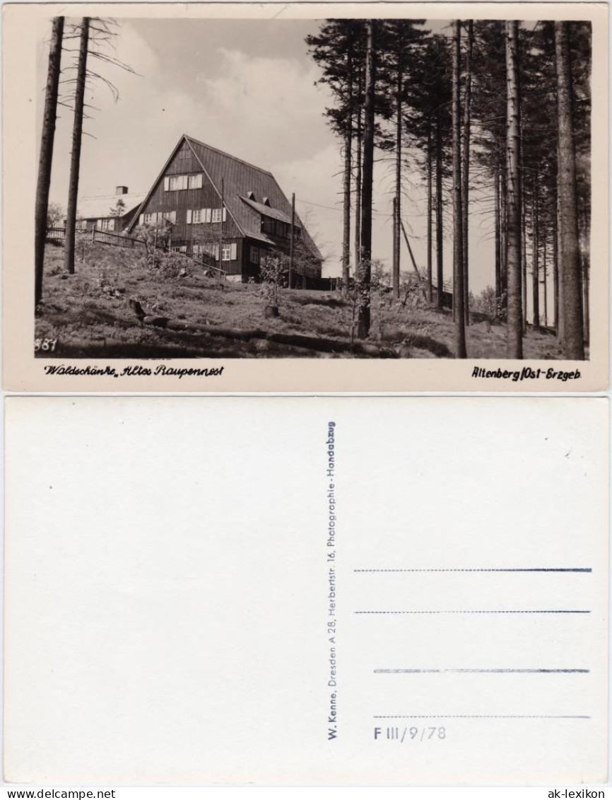 Ansichtskarte Altenberg (Erzgebirge) Waldschänke "Altes Raupennest" 1978 - Altenberg