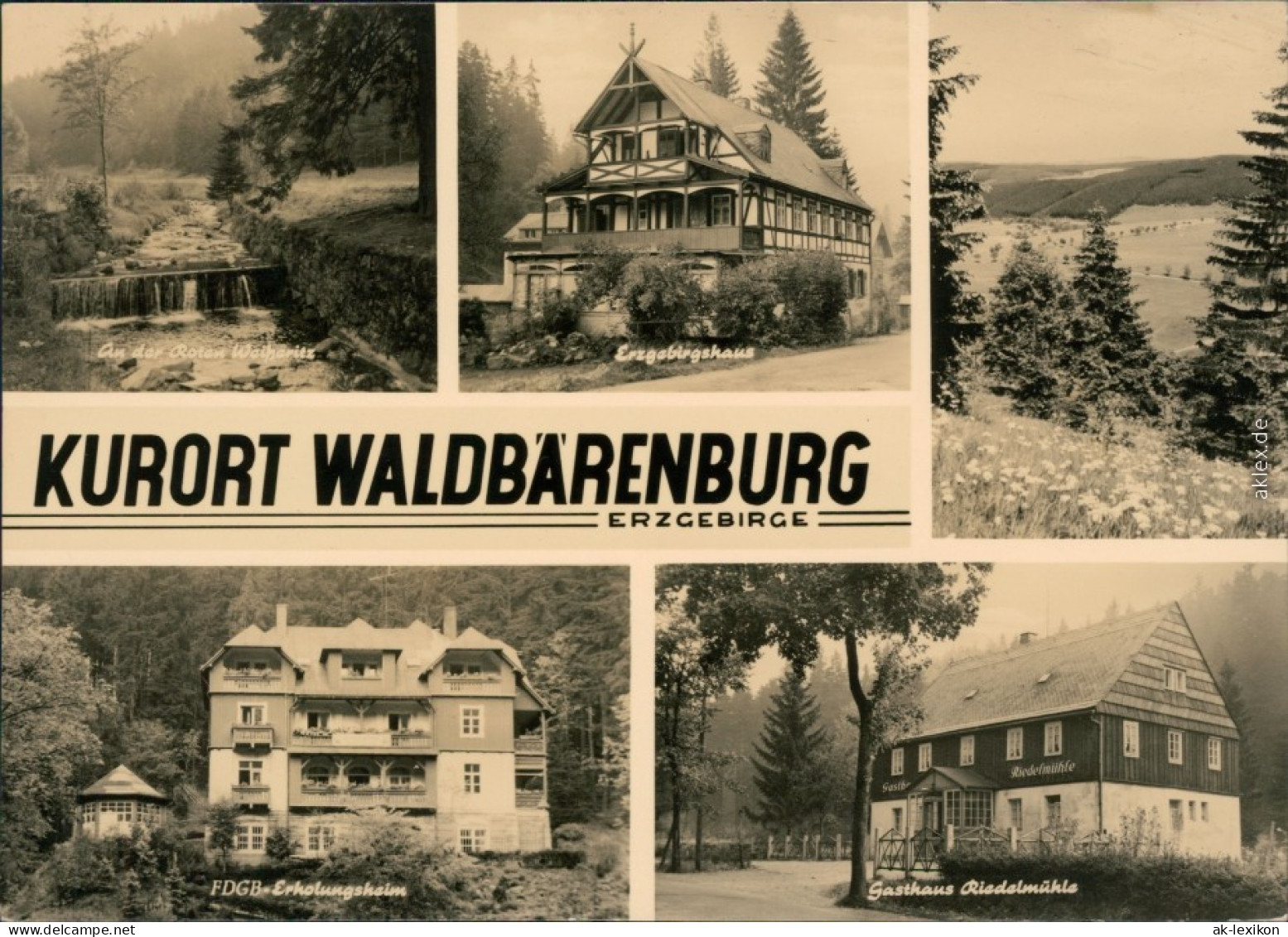 Waldbärenburg-Altenberg (Erzgebirge) Rote Weiheritz,  Gasthaus Riadelmühle 1964 - Altenberg
