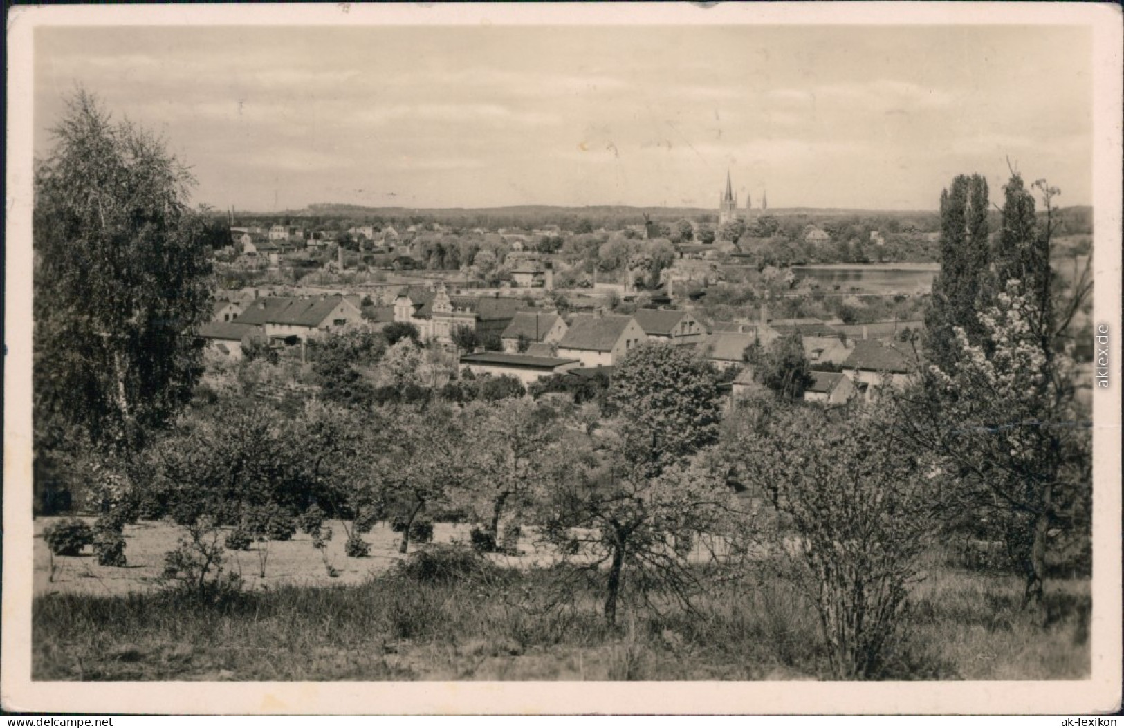 Ansichtskarte Werder (Havel) Blick Auf Die Stadt 1955 - Werder