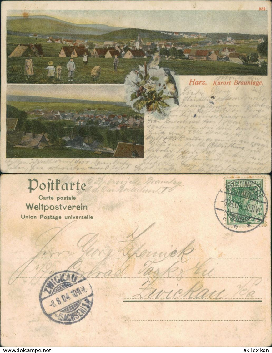 Ansichtskarte Braunlage 2 Bild: Stadtpartien - Vögel 1904  - Braunlage
