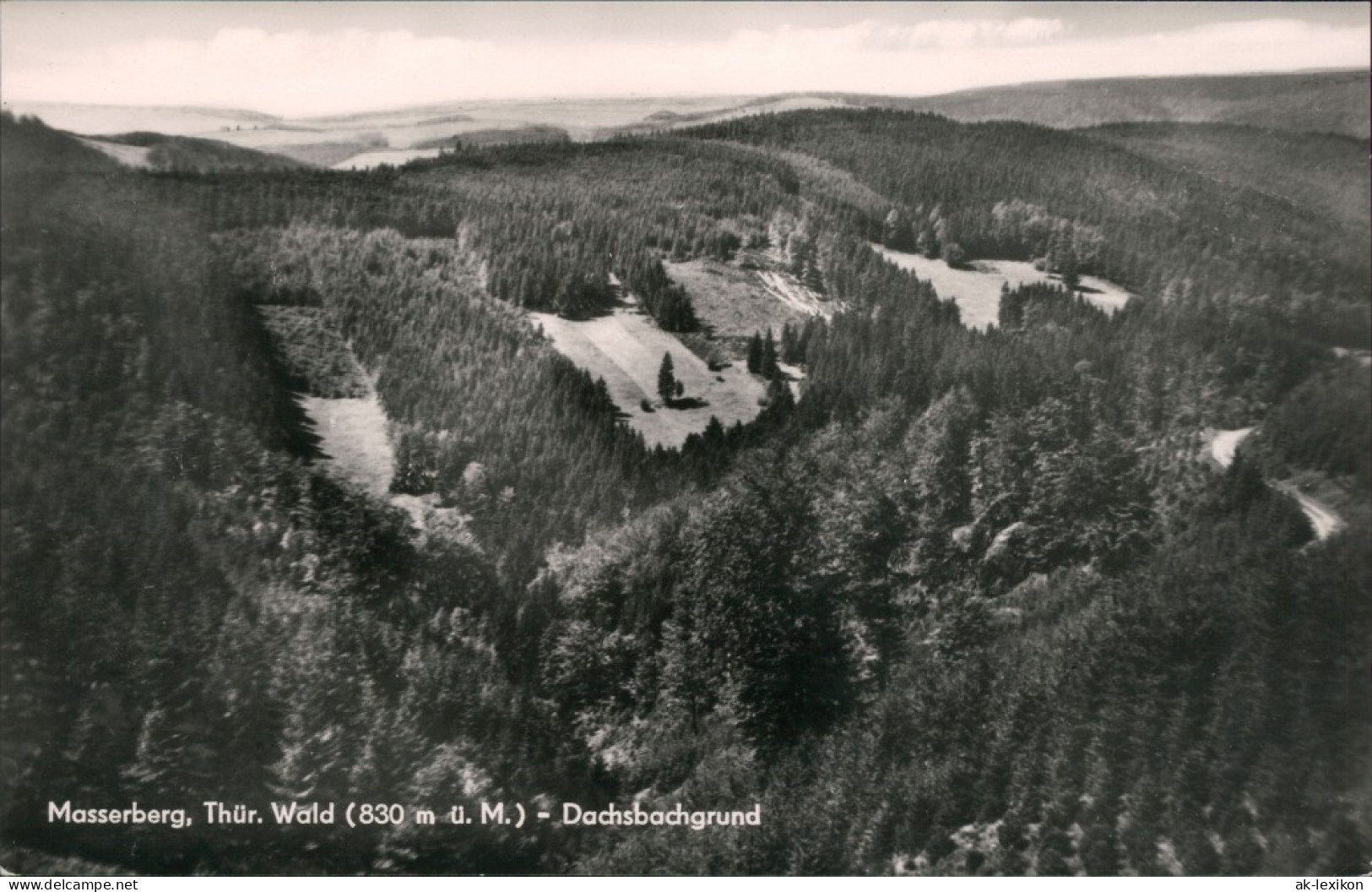 Ansichtskarte Masserberg Dachsbachgrund 1964 - Masserberg