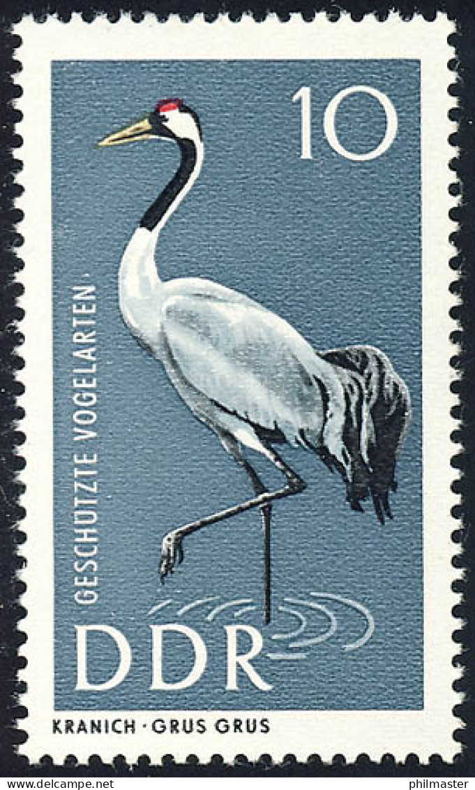 1273 Geschützte Vögel Grauer Kranich 10 Pf ** - Unused Stamps