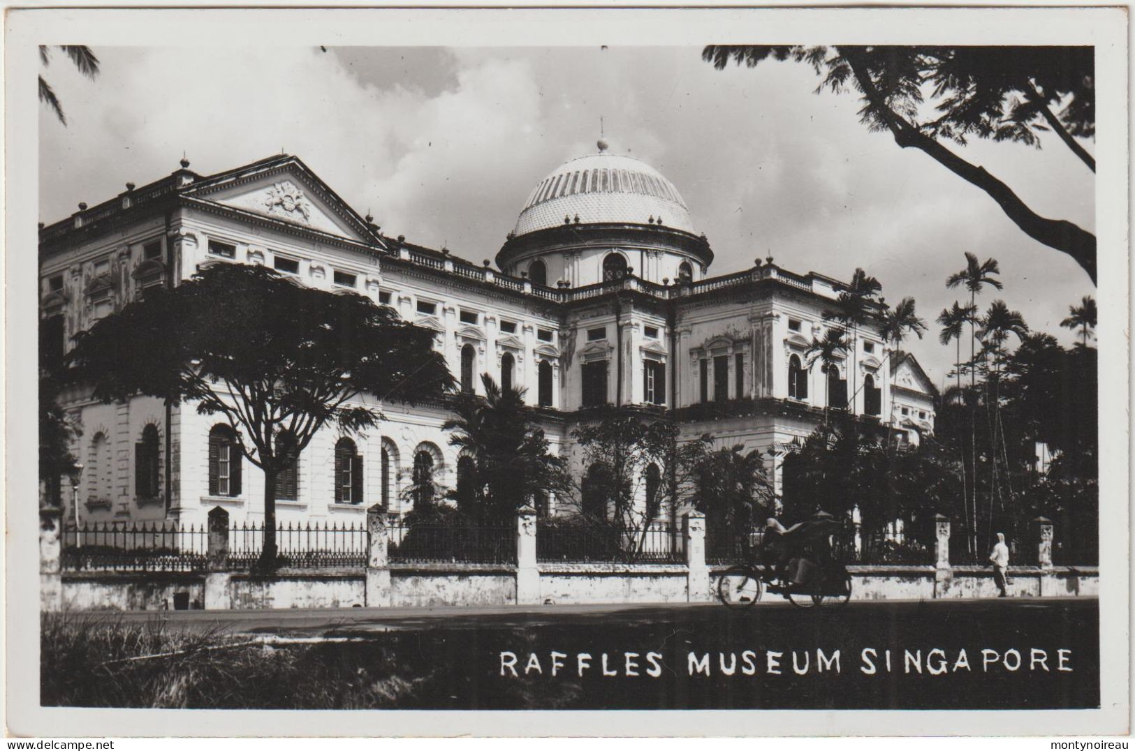 Asie : Singapour :  Raffles  Museum - Singapur