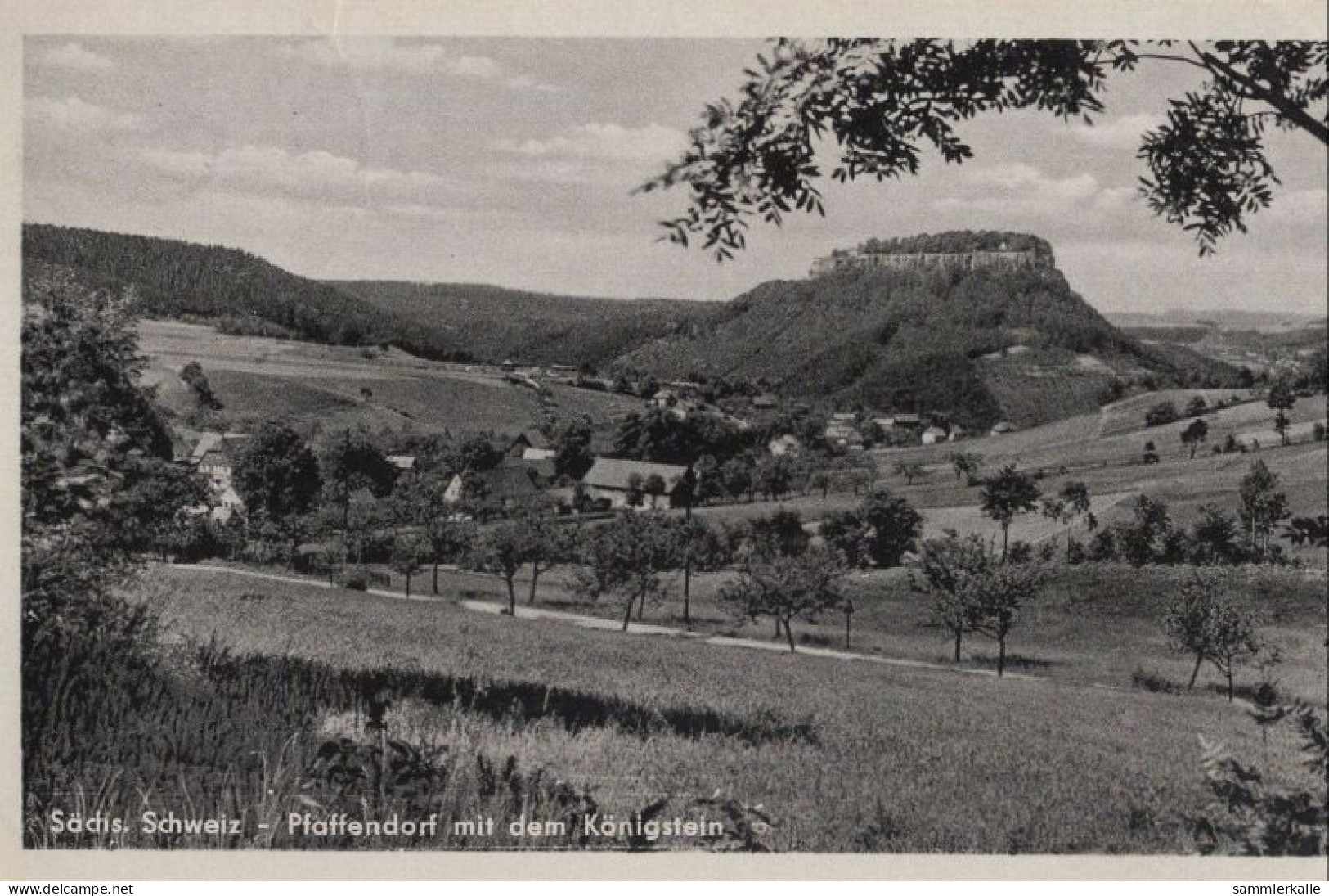 136255 - Königstein-Pfaffendorf - Mit Königstein - Koenigstein (Saechs. Schw.)