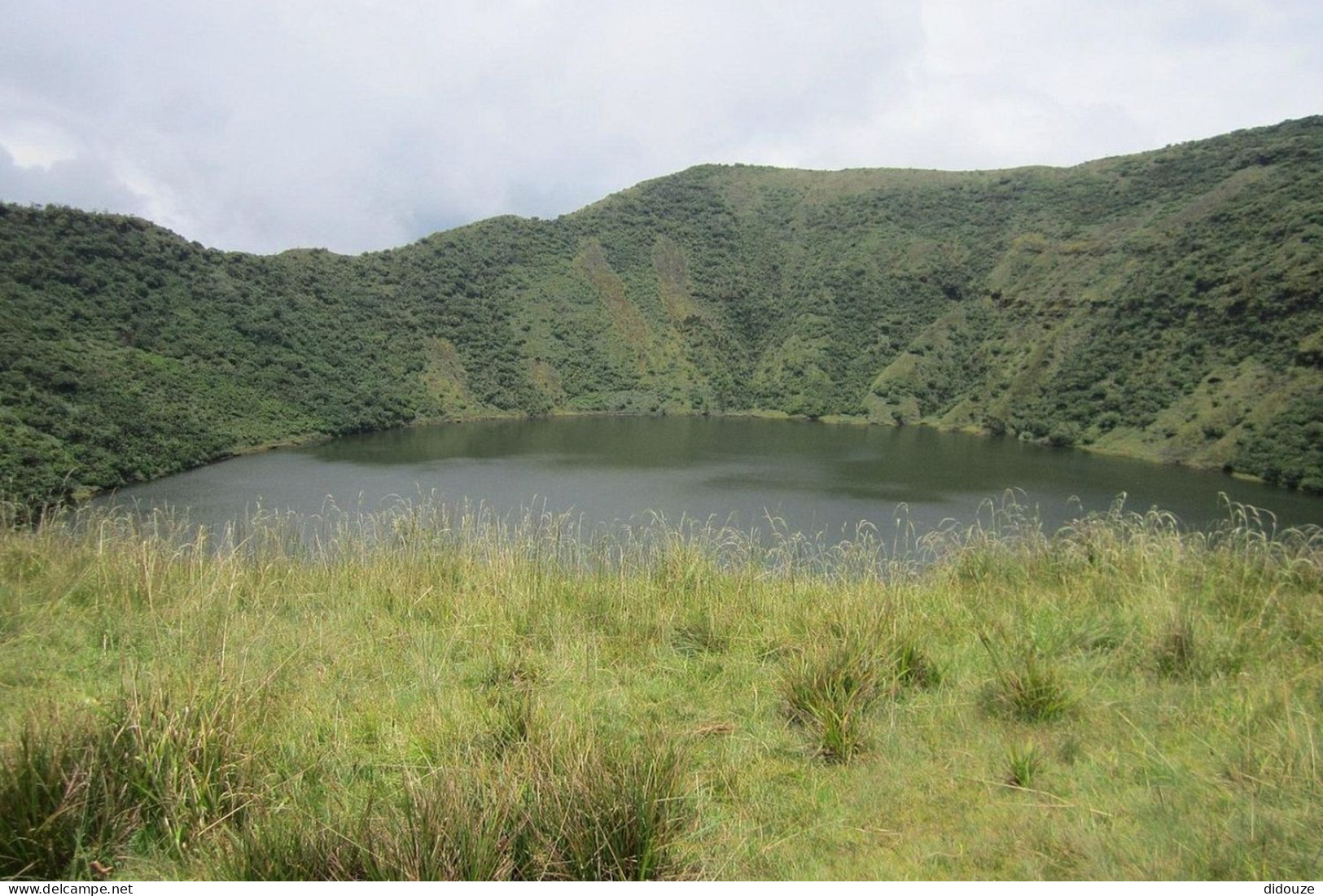 Rwanda - Volcanoes National Park - Parc Des Volcans - Zoo - CPM - Carte Neuve - Voir Scans Recto-Verso - Rwanda