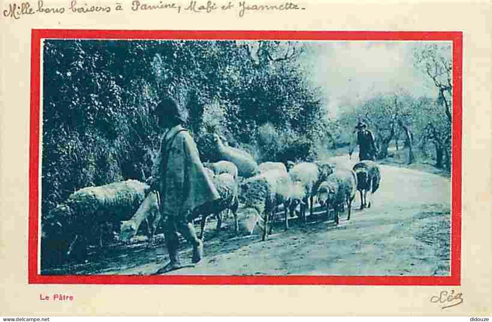 Métiers - Paysans - Le Patre - Animée - Moutons - Berger - CPA - Voir Scans Recto-Verso - Bauern